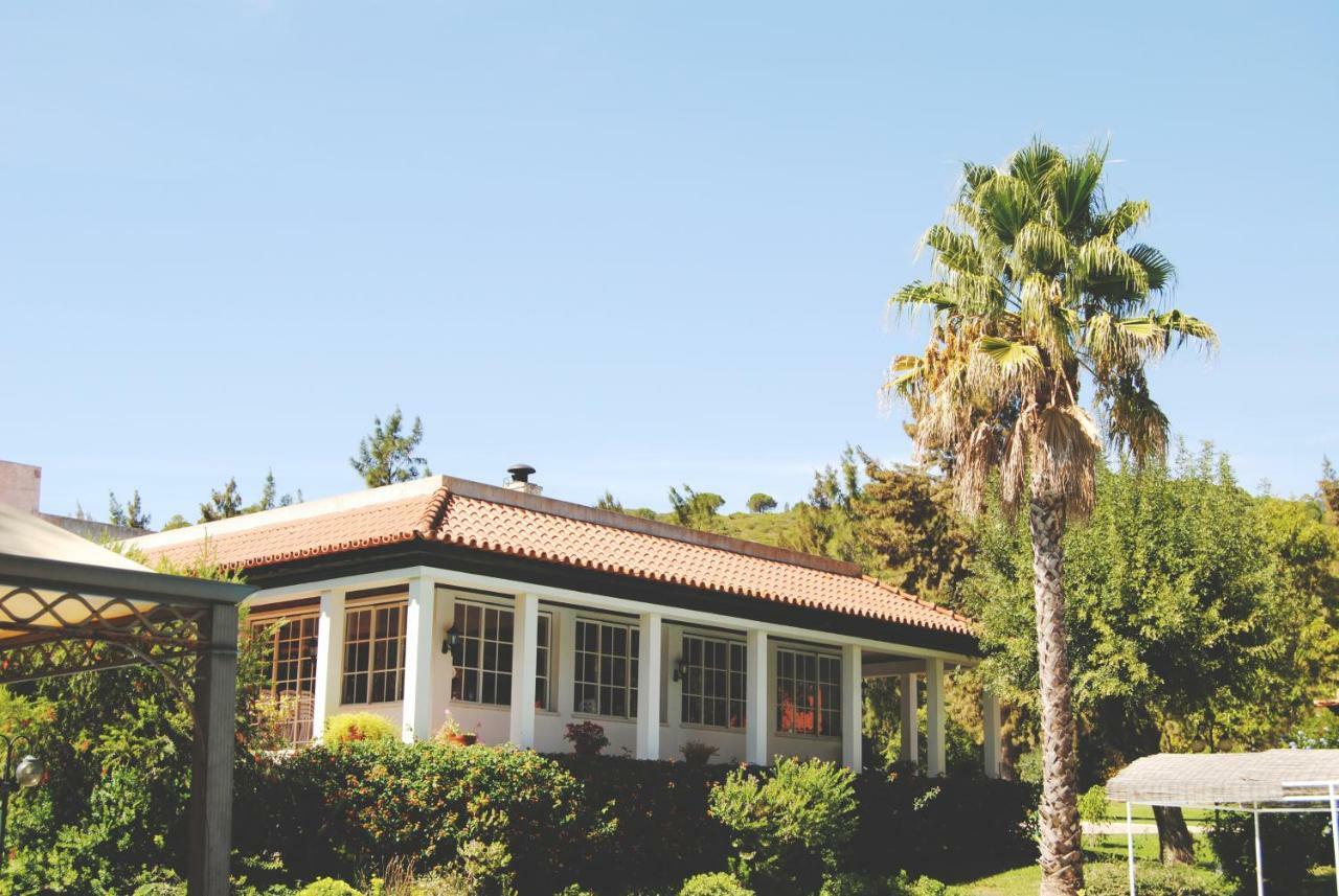 Quinta Do Cerrado Setubal Guest House Ngoại thất bức ảnh