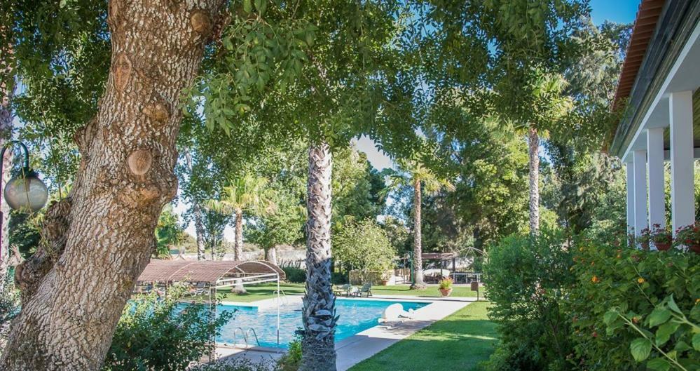 Quinta Do Cerrado Setubal Guest House Ngoại thất bức ảnh